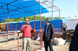 Gemlik Belediyesi Kurban Pazarı’nda Satışlar Başladı